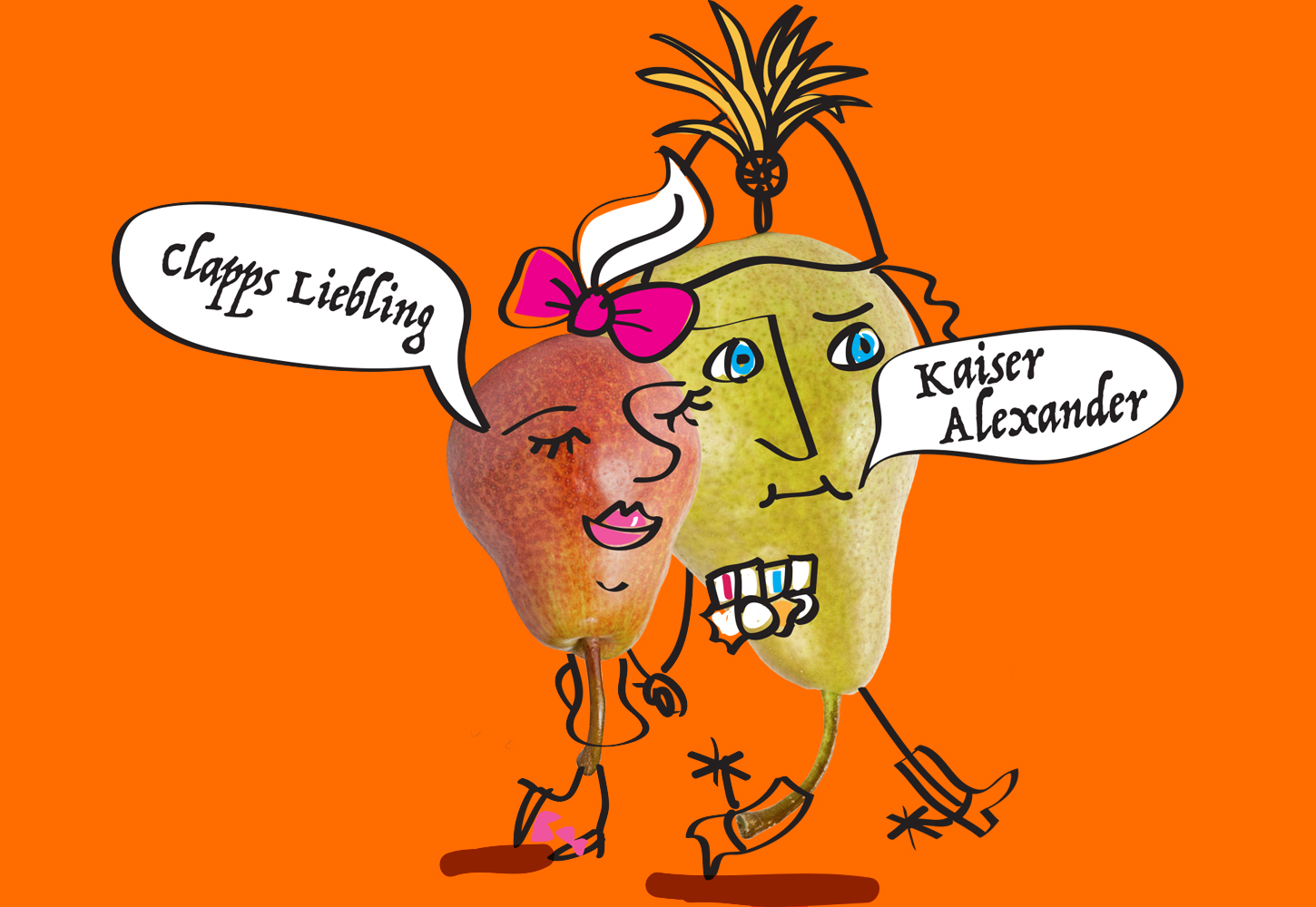 plakate-bioinsel-header-copyright-typoly Plakate Bioinsel - Typoly